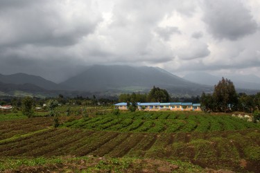 8R2A4731 Mountain Chain Virunga NP Rwanda