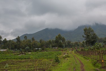 8R2A4872 landscape Virunga NP Rwanda
