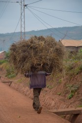 8R2A3259 people carrying goods Rwanda