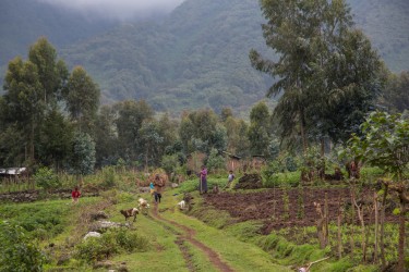 8R2A4873 people Virunga NP Rwanda